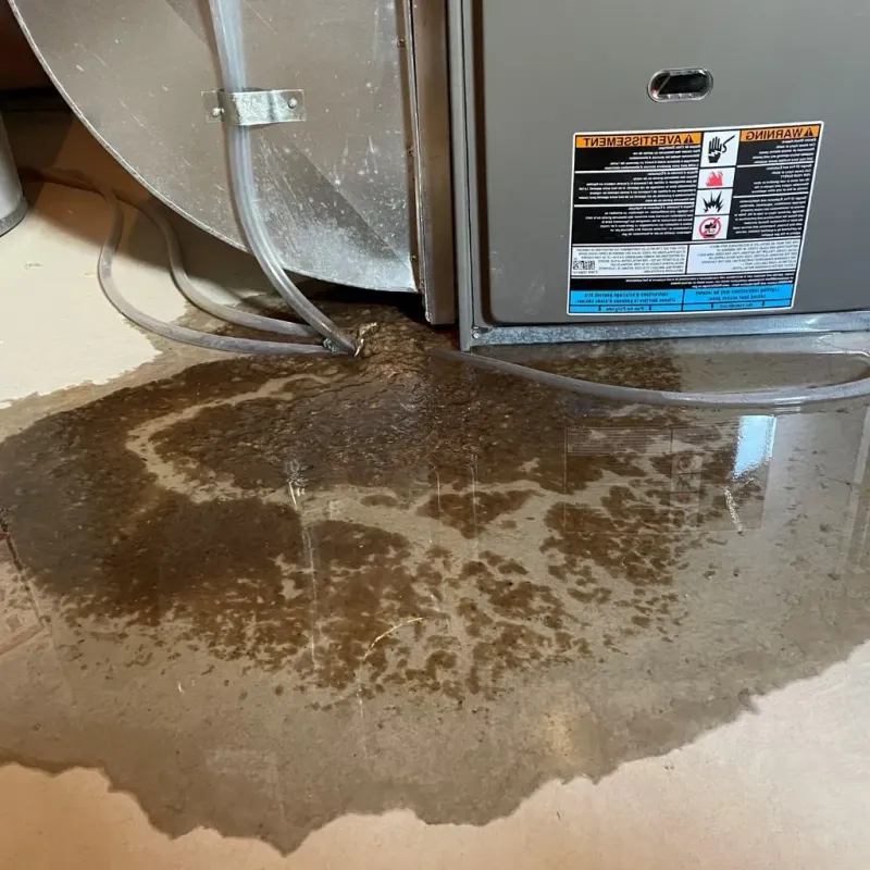 Pipe Burst and Leak Restoration in Blaine County, OK